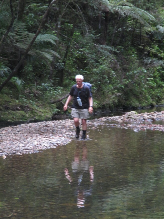 Bob making his way up stream