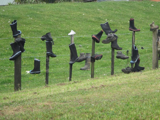 Do you need some wellys?