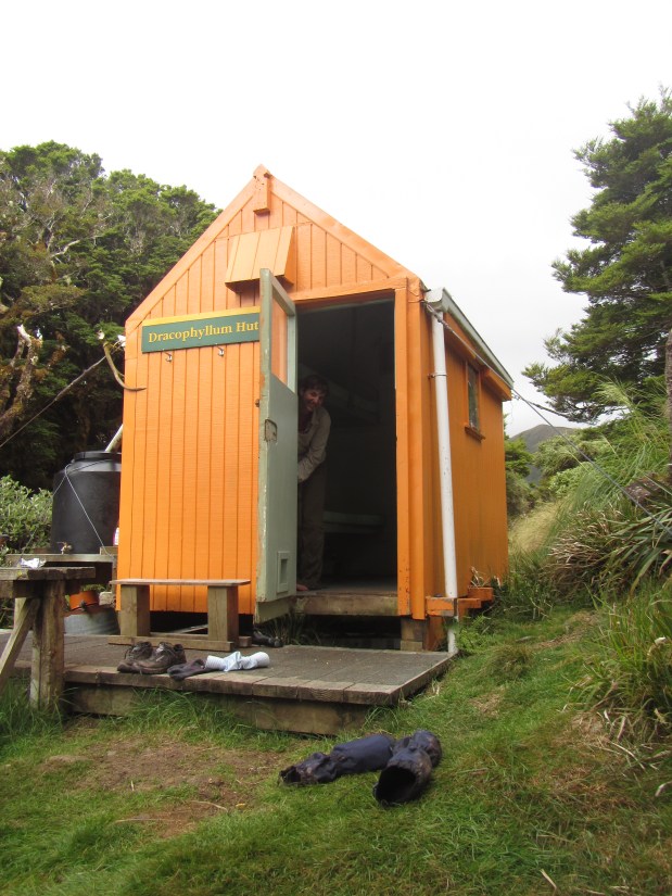 Day 58: Waiopehu Hut to Dracophyllum&nbsp;Hut