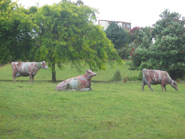 Day 54: Bulls to Fielding&nbsp;(Colyton)